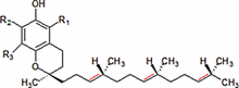 <span class="light">LA</span> VITAMINE E À L’ORIGINE DE LA VIE